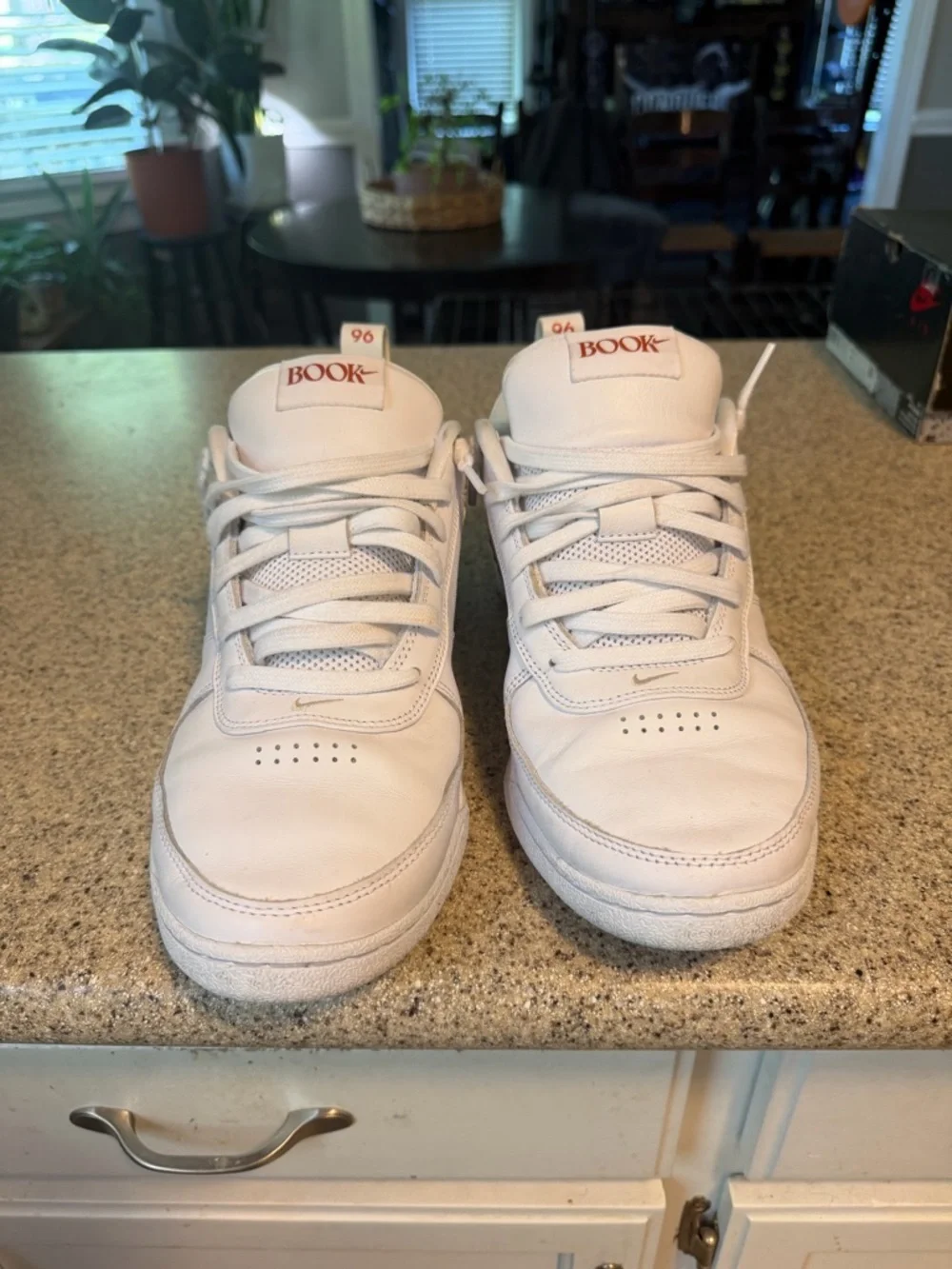 Book Chapter 1 “Rattlesnake” - Picture 5 of 6